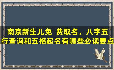 南京新生儿免  费取名，八字五行查询和五格起名有哪些必读要点 